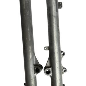 Photoroom_007_20250925_173933