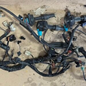 Faisceau électrique complet de TRIUMPH 955
