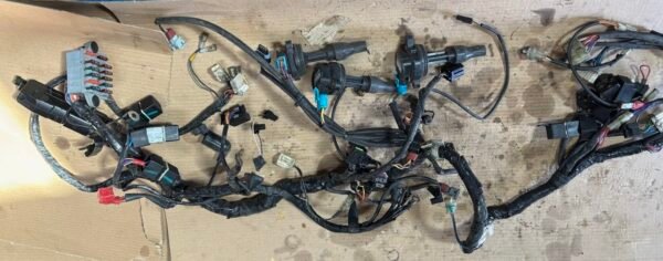 Faisceau électrique complet de TRIUMPH 955