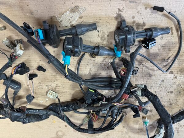 Faisceau électrique complet de TRIUMPH 955 – Image 3