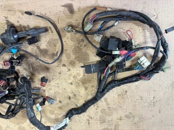 Faisceau électrique complet de TRIUMPH 955 – Image 4