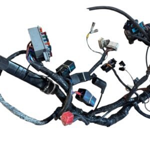 Faisceau électrique complet de TRIUMPH 955