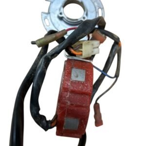 Allumage électronique de FANTIC 301